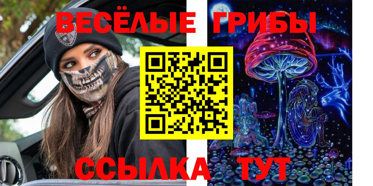 Псилоцибиновые грибы прущие грибы Малоярославец