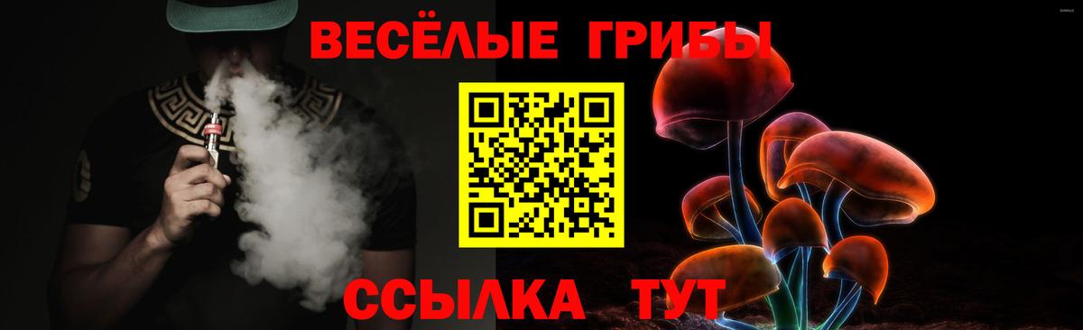 Псилоцибиновые грибы мухоморы  Вход с VPN  Малоярославец 